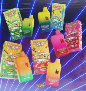 Nostalgic Vibes Disposable