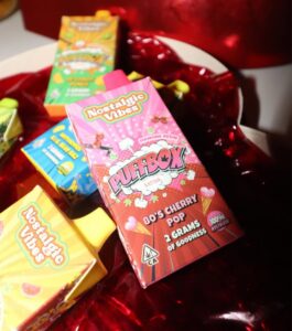 Nostalgic Vibes Disposable