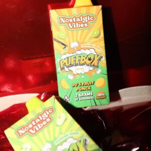 Nostalgic Vibes Disposable